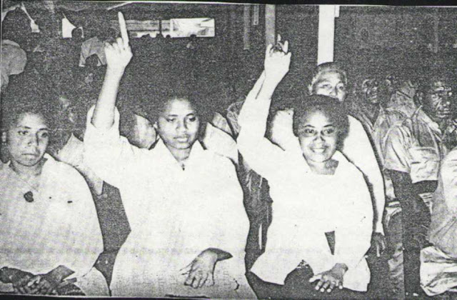 Pelaksanaan Pepera Papua