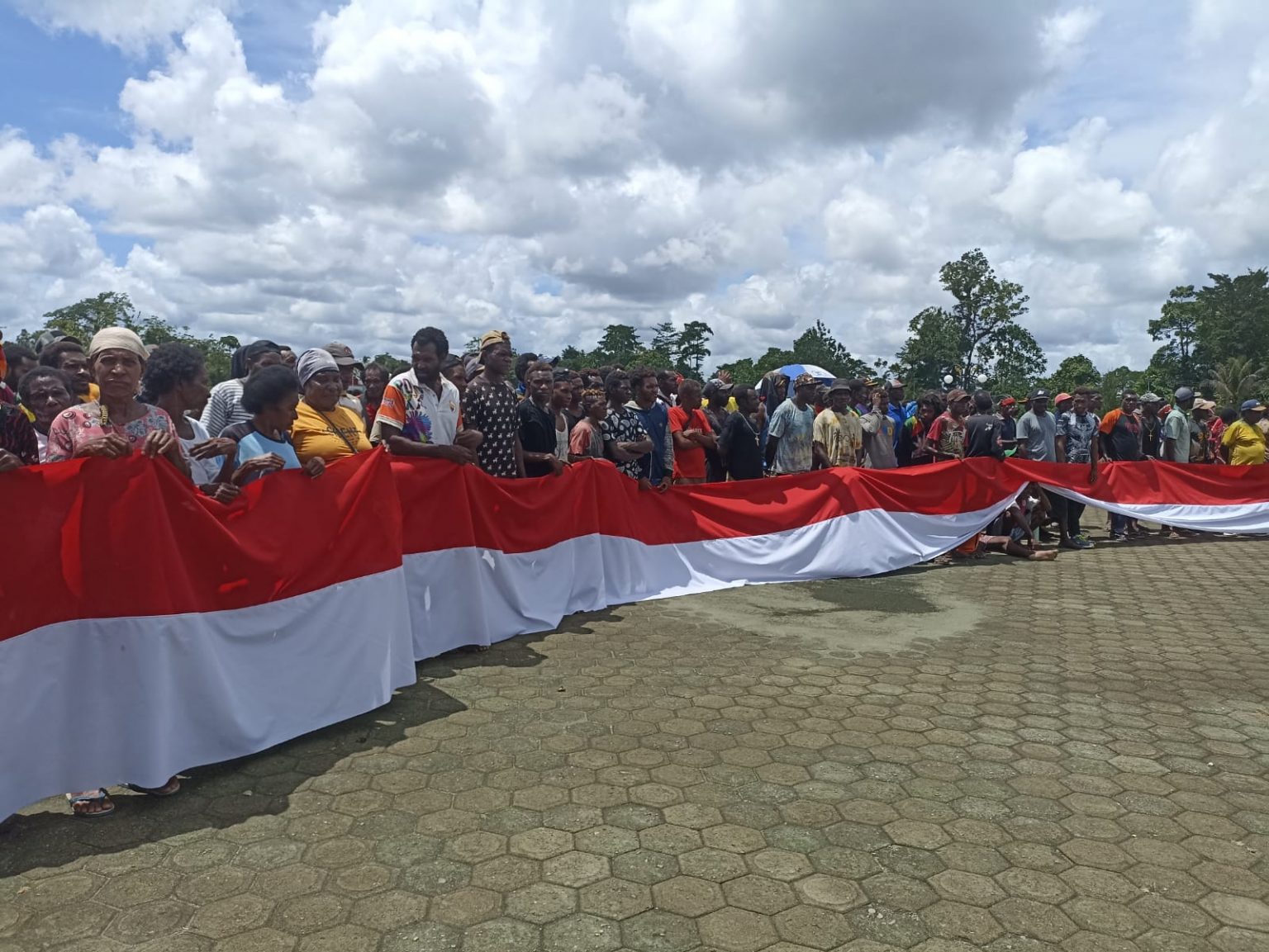 Jokowi: Papua Terlalu Luas Jika Hanya Terdiri dari Dua Provinsi